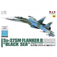 1/72 Scale Model Kit - Aviation Models Specialty Series