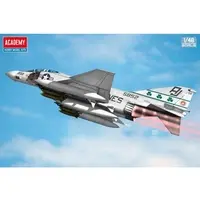1/48 Scale Model Kit - Fighter aircraft model kits / F-4
