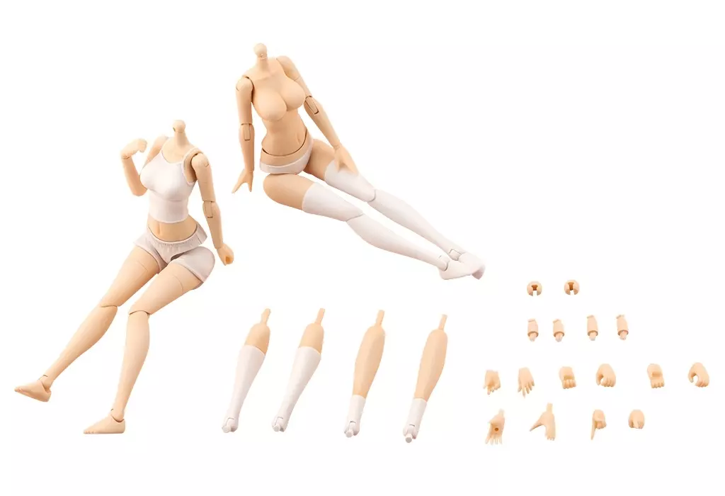 Tiny Closet - MEGAMI DEVICE / Koyomi Takanashi