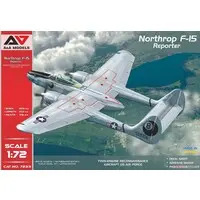 1/72 Scale Model Kit - Fighter aircraft model kits / Northrop P-61 Black Widow