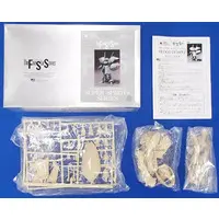 1/100 Scale Model Kit - The Five Star Stories