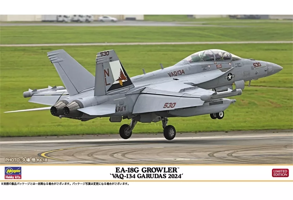 1/72 Scale Model Kit - Electronic-warfare aircraft / Boeing EA-18G Growler