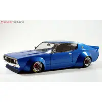 1/24 Scale Model Kit - NISSAN / SKYLINE