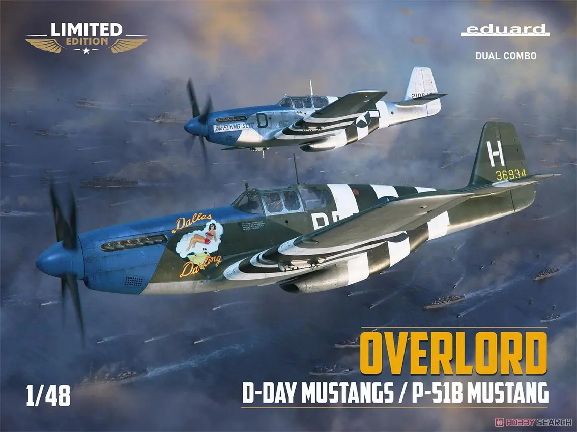 1/48 Scale Model Kit - Fighter aircraft model kits / North American P-51 Mustang