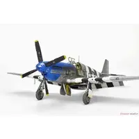 1/48 Scale Model Kit - Fighter aircraft model kits / North American P-51 Mustang