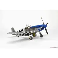 1/48 Scale Model Kit - Fighter aircraft model kits / North American P-51 Mustang