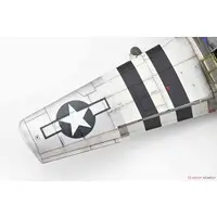 1/48 Scale Model Kit - Fighter aircraft model kits / North American P-51 Mustang