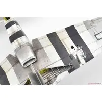 1/48 Scale Model Kit - Fighter aircraft model kits / North American P-51 Mustang