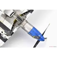 1/48 Scale Model Kit - Fighter aircraft model kits / North American P-51 Mustang