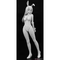 1/12 Scale Model Kit - Tamago Girls (Egg Girls)