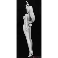 1/12 Scale Model Kit - Tamago Girls (Egg Girls)