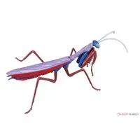 Plastic Model Kit - Insect