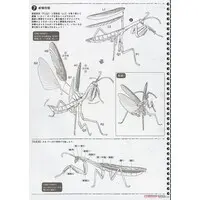 Plastic Model Kit - Insect