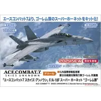 1/72 Scale Model Kit - Ace Combat / F/A-18F Super Hornet & Super Hornet