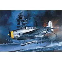 1/72 Scale Model Kit - Torpedo bomber