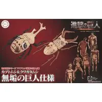 Plastic Model Kit - Insect / Beetle