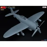 1/48 Scale Model Kit - Fighter aircraft model kits / P-47 Thunderbolt