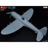 1/48 Scale Model Kit - Fighter aircraft model kits / P-47 Thunderbolt