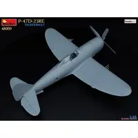 1/48 Scale Model Kit - Fighter aircraft model kits / P-47 Thunderbolt
