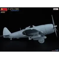 1/48 Scale Model Kit - Fighter aircraft model kits / P-47 Thunderbolt