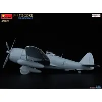 1/48 Scale Model Kit - Fighter aircraft model kits / P-47 Thunderbolt
