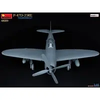 1/48 Scale Model Kit - Fighter aircraft model kits / P-47 Thunderbolt