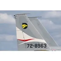 1/72 Scale Model Kit - Japan Self-Defense Forces / McDonnell Douglas F-15 Eagle