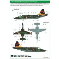 1/48 Scale Model Kit - Aircraft / Sukhoi Su-25