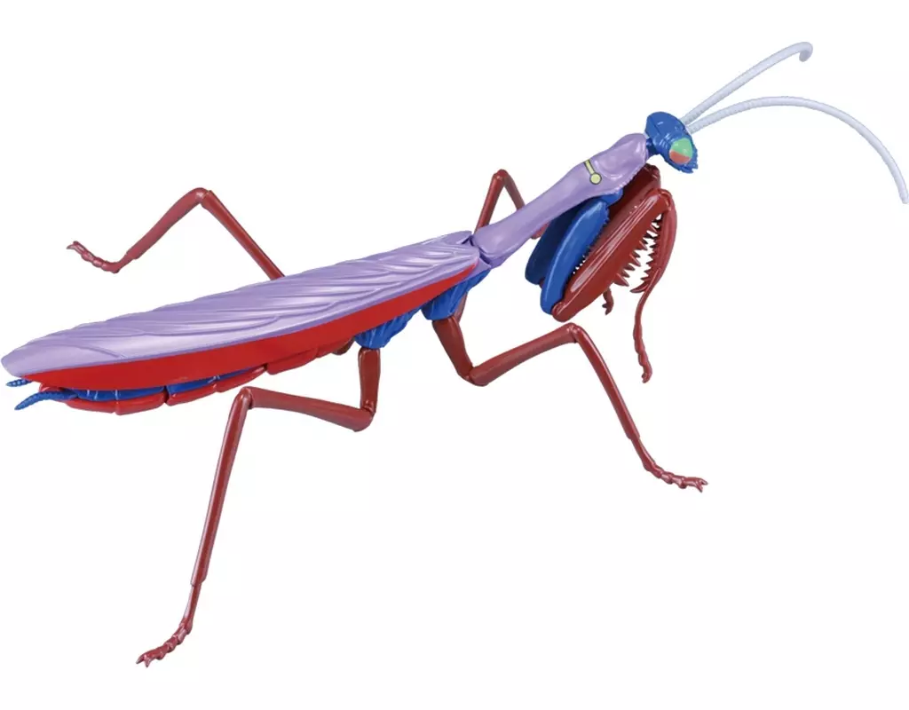 Plastic Model Kit - Insect / Tenodera aridifolia