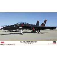 1/72 Scale Model Kit - Fighter aircraft model kits / F/A-18F Super Hornet