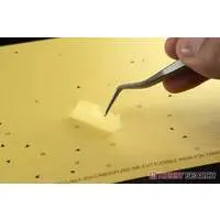 1/48 Scale Model Kit - Fighter aircraft model kits / Lockheed F-35 Lightning II