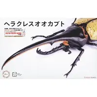 Plastic Model Kit - Insect