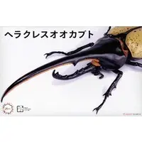 Plastic Model Kit - Insect