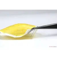 1/48 Scale Model Kit - Fighter aircraft model kits / Lockheed F-35 Lightning II