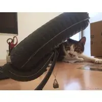 1/144 Scale Model Kit - Aircraft