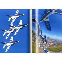 Book - Blue Impulse