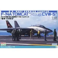 1/48 Scale Model Kit - Fighter aircraft model kits / F-14