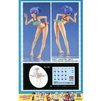 1/12 Scale Model Kit - Tamago Girls (Egg Girls)