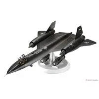 1/48 Scale Model Kit - Reconnaissance aircraft / SR-71 Blackbird