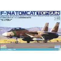 1/48 Scale Model Kit - Fighter aircraft model kits / F-14