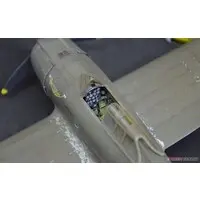1/48 Scale Model Kit - Fighter aircraft model kits / P-47 Thunderbolt