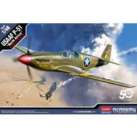 1/48 Scale Model Kit - Fighter aircraft model kits / North American P-51 Mustang