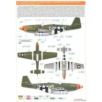 1/48 Scale Model Kit - Fighter aircraft model kits / North American P-51 Mustang