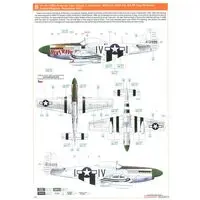 1/48 Scale Model Kit - Fighter aircraft model kits / North American P-51 Mustang