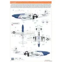 1/48 Scale Model Kit - Fighter aircraft model kits / North American P-51 Mustang