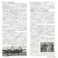 1/48 Scale Model Kit - Bomber / Lockheed P-38 Lightning