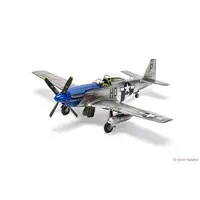 1/48 Scale Model Kit - Fighter aircraft model kits / North American P-51 Mustang