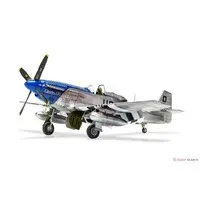 1/48 Scale Model Kit - Fighter aircraft model kits / North American P-51 Mustang