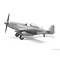 1/48 Scale Model Kit - Fighter aircraft model kits / North American P-51 Mustang