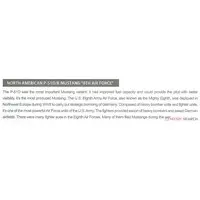 1/48 Scale Model Kit - Fighter aircraft model kits / North American P-51 Mustang